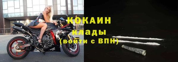 прущие грибы Белоозёрский