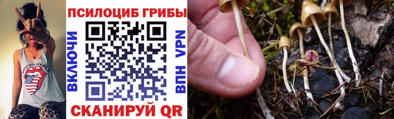 ОМГ ОМГ вход  магазин  наркотиков  Гремячинск  Псилоцибиновые грибы Psilocybine cubensis 